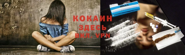 винт Белокуриха