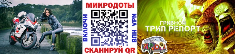 Галлюциногенные грибы мицелий  мега ТОР  Курильск 